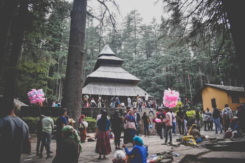 Things to do in Manali